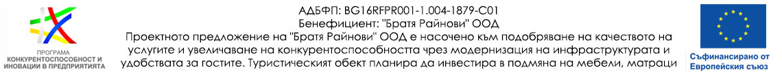 Проектно предложение на Братя Райнови